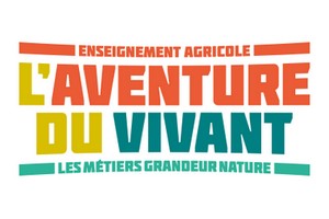 logo-aventure-300x200-1 logo-aventure-300x200-1